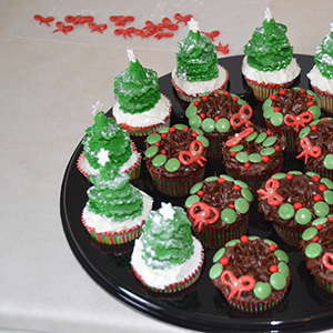 Evergreen Forest Collection